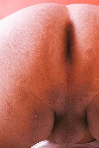 Orsetto Docile